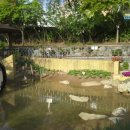 청운초등학교 이미지