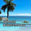 세부 마사지 추천 플라워트리스파 예약 픽업 후기