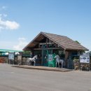 새별목장 이미지