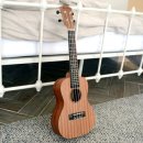 우쿨렐레(초급) | 우쿨렐레 입문자 추천템 TOP 3 가성비 최고 풀패키지부터 독학 교재까지!