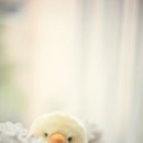 동그리펫 이미지