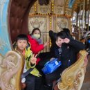 용인대 힘찬청룡 태권도장 이미지