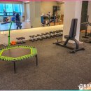 경춘체육관 이미지