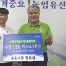 타올씨