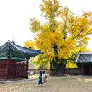 명륜당