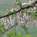 목장의아침 이미지