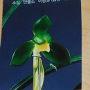 소심 이미지