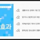 성신카클리닉 네이버블로그