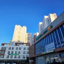 판부농협하나로마트 | 여행 중 꼭 들르게 되는 고성 토성농협 하나로마트 본점 방문 후기