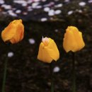 연지공원1 이미지