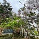 신록성장