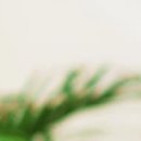 사과나무정신건강의학과의원 이미지