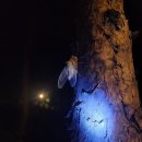 가족근린공원 이미지