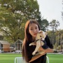피카푸피크닉앤글램핑서울와이엠씨에이도 이미지