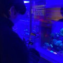 산호오락실 이미지