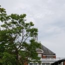 갤러리(Gallery) 이미지