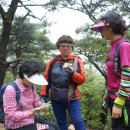 도마초등학교 이미지