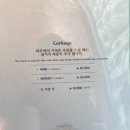 왕비집시청