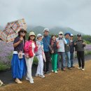 닭방 Daum카페