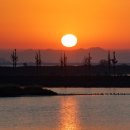 방아머리 구선착장 이미지