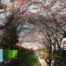 여좌천거리 이미지