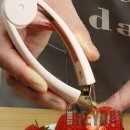 헤이데이 이미지