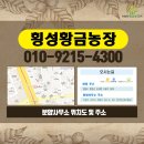 황금농장 이미지