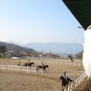 레이크밸리승마클럽 이미지