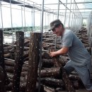 금파농장 이미지