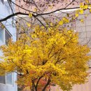 동산제일2차아파트 이미지