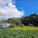 신월동043 이미지