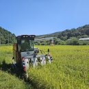 그린메디텍 이미지