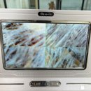 헤어멍펫살롱 이미지