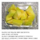 대박하우스 | 부산 해운대 미친과일 옹골찬자두~신비복숭아~블루베리~황도 당도 대박강추 #신비택배 #과일전국택배