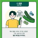 7월 영양정보 ＜ 여름철 부종완하하는 음식＞ 이미지