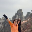 강산