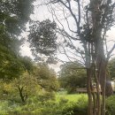 쿤자PC방 이미지