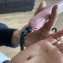 늘행복한식당 | 속초 2·3일차 여행코스 | 오복식당·설악산·뉴욕 카라반(강추 숙소)·만석닭강정 후기 🛻