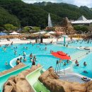 대명비발디파크 이미지