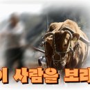 비젼통신 - 안양시 만안구 안양로 301 | 비젼통신