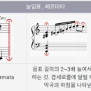달세뇨 이미지