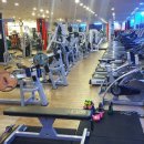 앨바트로 복싱 이미지