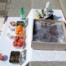 우정자전차 이미지