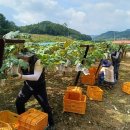 청주시농업기술센터 이미지