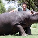 하마 농장 이미지