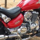 데이스타 이미지