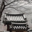 소산도 이미지
