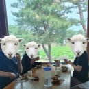 우리밀북경 | 고양시 농협대 맛집 손님모시기 좋은 식당 너른마당에서 통오리밀쌈, 녹두지짐, 우리밀칼국수 먹고 온 후기
