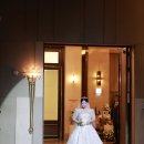 개 태우는 오빠 | w.8 본식 당일 '대구 인터불고 엑스코 그랜드볼룸홀' 11월 예식 호텔예식 후기