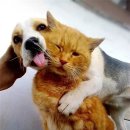 포근한세상